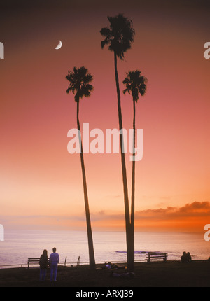 Couples sitting under quarter moon and tall palm trees in Heisler Park at sunset in Laguna Beach, California Stock Photo