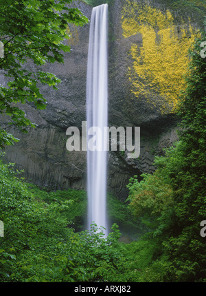 Latourell Falls in Guy Talbot State Park at Columbia River Gorge. Oregon. USA Stock Photo