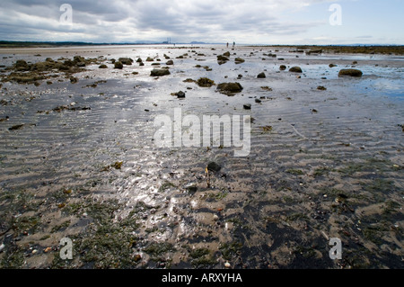 Niddry Beach or Niddry Bents shore East Lothian Scotland looking out over the littoral zone Stock Photo