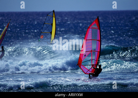 Three windsurfers race against huge waves at 'Backyards', Sunset Beach on the famous north shore of Oahu. Stock Photo
