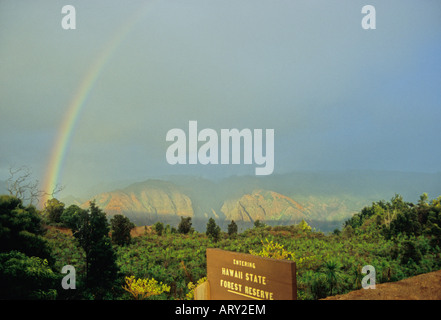 Rainbow over Waimea Canyon as seen from the Iliau Nature Loop Stock Photo