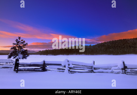 Small pine tree and fence along a snow covered meadow at sunset Stock Photo