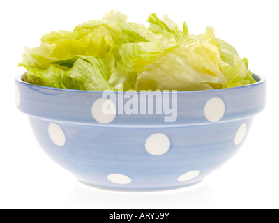 Iceberg Lettuce Leaves Stock Photo