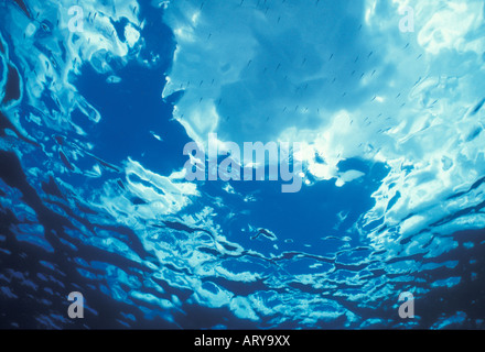 A view looking up thru the  blue ocean water towards the clouds and sky. Stock Photo