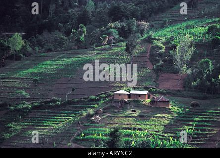 Traditional subsistence farm in the Taita Hills Kenya East Africa Stock Photo