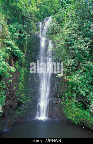 Waterfall in Haleakala National Park at Kipahulu or otherwise known as 'Seven Sacred Pools' or 'Ohe'o Gulch. Stock Photo
