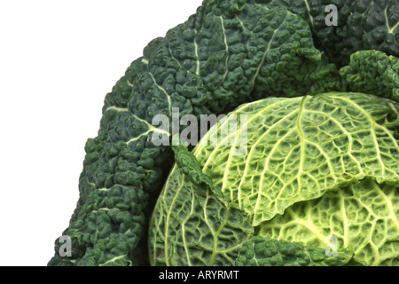 Healthy Ripe Raw Uncooked Whole Organic Savoy Cabbage Vegetable Isolated Against A White Background With No People and A Clipping Path Stock Photo