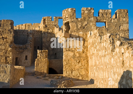 The Arab Castle, Qalaat Ibn Maan, overlooks Palmyra, Central Syria, Middle East. DSC 5795 Stock Photo
