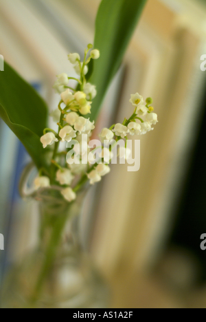 France a lily of the valley flower in its vase on a books stall offered on may first the day of the workers Stock Photo