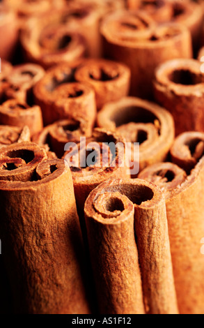 Cinnamon sticks Stock Photo