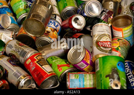 Metal cans collected by Wastesavers community recycling group from households in Newport South Wales Gwent UK Stock Photo