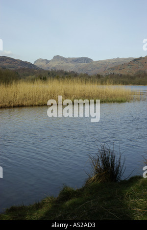 Langdale Pikes from Elterwater in the English Lake District Stock Photo