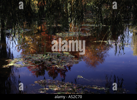 Giverny, Musée Claude Teich mit Seerosen Stock Photo Alamy