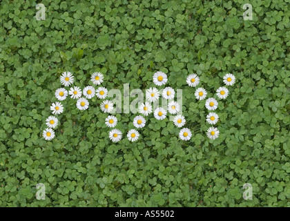 month may written with daisies Stock Photo