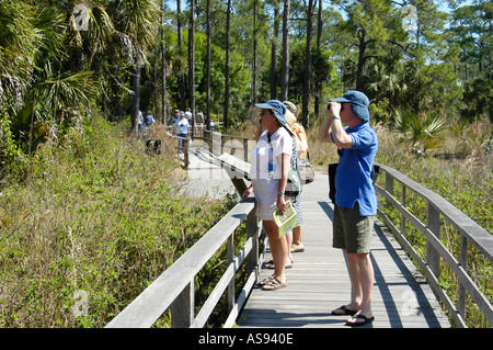 Corkscrew Swamp Sanctuary Naples Florida FL Stock Photo
