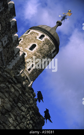 the tower of london with crows perched on the wall London england Stock Photo