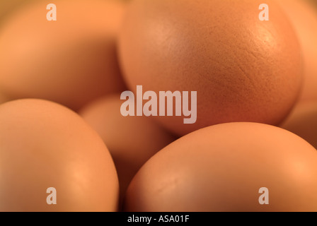Eggs Stock Photo
