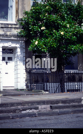 Architectural details buildings Bath Somerset England Stock Photo