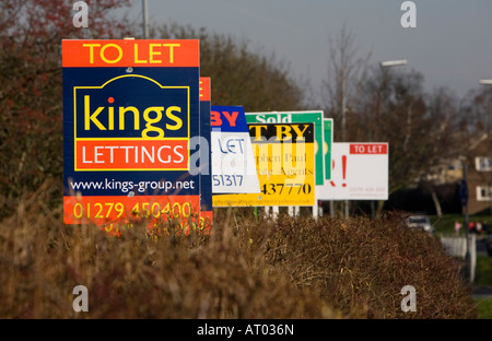 A row of To Let signs outside a block of flats in Harlow, Essex, UK Stock Photo