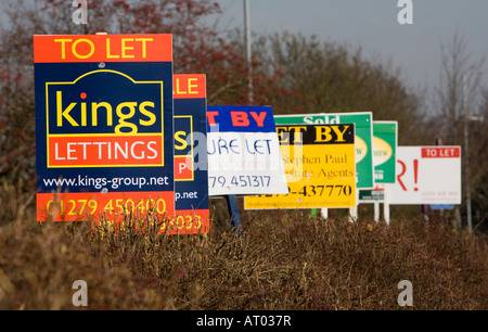 A row of To Let signs outside a block of flats in Harlow, Essex, UK Stock Photo