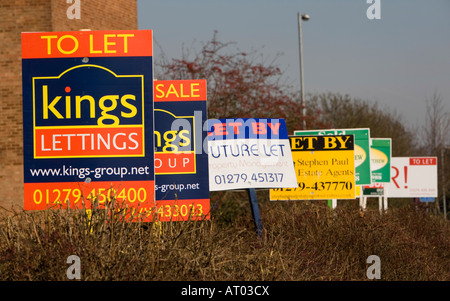 A row of To Let signs outside a block of flats in Harlow, Essex, UK Stock Photo