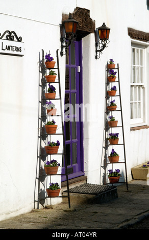 Winter Pansies in Pots surround a Door in Cerne Abbas Dorset England Stock Photo