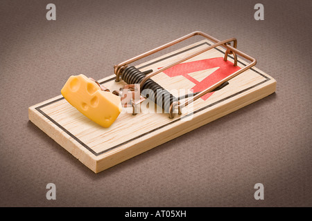 Mouse Trap Stock Photo