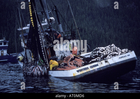 commercial fishing vessel Western Queen crew pulls in sien gear full with chum salmon Oncorhynchus keta Hidden Falls Alaska Stock Photo
