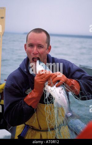 Karl Kircher commercial set net fisherman pretends to take a bite of a Kenai sockeye salmon Oncorhynchus nerka Cook Inlet Alaska Stock Photo