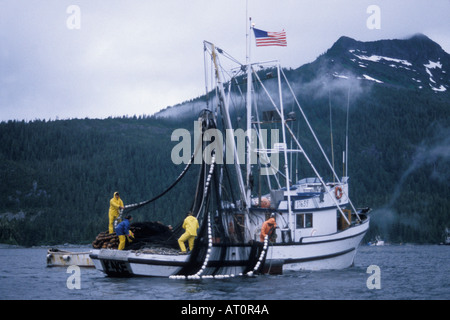 commercial fishing vessel Kake crew pulls in sien gear full of chum or dog salmon Oncorhynchus Alaska Stock Photo