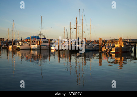 Early light and Fiahing Boats Westshore Napier Hawkes Bay North Island New Zealand Stock Photo