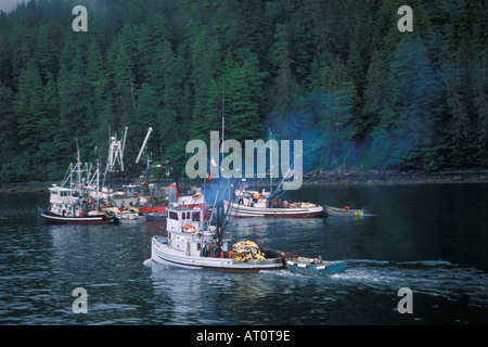 commerical fishing vessel crew pulls in sien gear full of chum or dog salmon Oncorhynchus keta Hidden Falls Alaska Stock Photo
