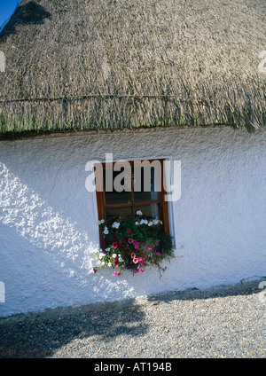 cloughjordon,county tipperary small cottage with white washed walls, and thatch roof in the rural irish landscpe, Stock Photo