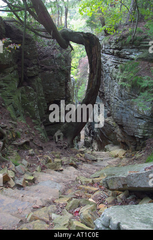 Great Stone Door Passage Into Savage Gulf State Natural Area Stock