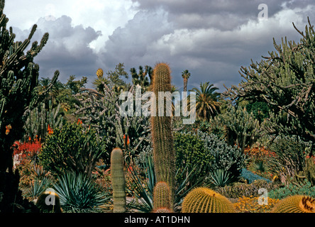 Desert Garden, Huntington Botanic Gardens at Huntington Library, San Marino, California, USA Stock Photo