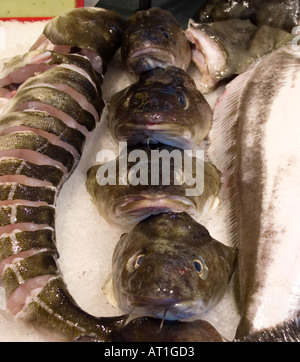 Fish on display at Bergen fish market Stock Photo