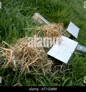 longworth traps opened on grass Stock Photo