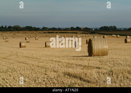 Hay bales at harvestime on farmland in south Rotherham South Yorkshire Stock Photo