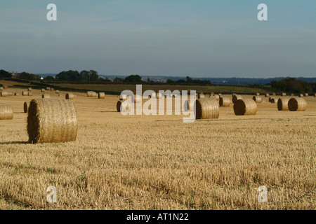 Hay bales at harvestime on farmland in south Rotherham South Yorkshire Stock Photo
