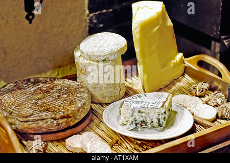 PARIS, France, French Regional Restaurant Auvergne  "Ambassade d'Auvergne" Food on a Plate, Detail Cheese Platter, Roquefort, still life cheeses Stock Photo