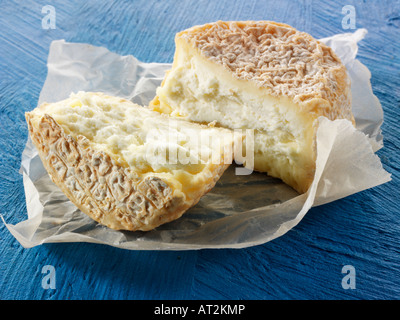 Farm goats cheese from Normandy against a blue background Stock Photo