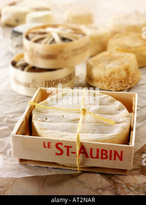 St Aubin soft French cheese in a cheese shop setting Stock Photo