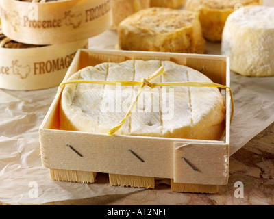 St Aubin soft French cheese in a cheese shop setting Stock Photo