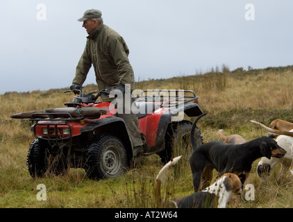 Man driving a quad bike and foxhounds in a field Stock Photo