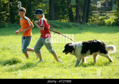 two boys running with their dog across a meadow Stock Photo