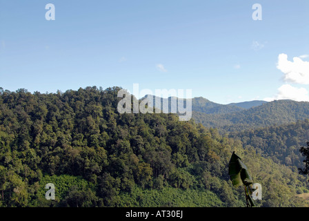 A mountain view of kerala,India Stock Photo