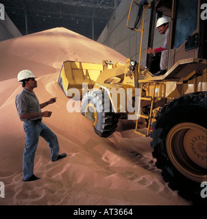 Warehouse operators in bulk storage facility for Ammonium Nitrate fertilizer before transport to a palm oil plantation in Malaysia Stock Photo