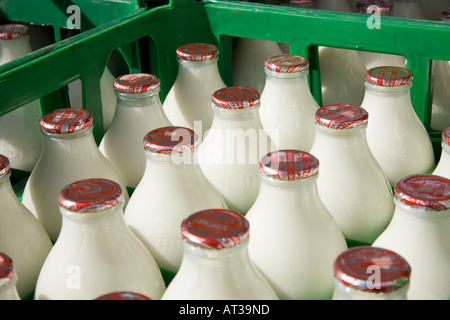 Green crate of skimmed milk bottles Stock Photo