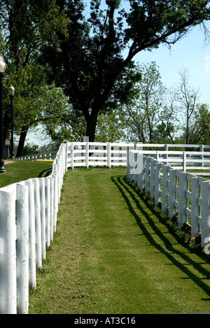 White fences on horse farm during spring in the Bluegrass Region ...