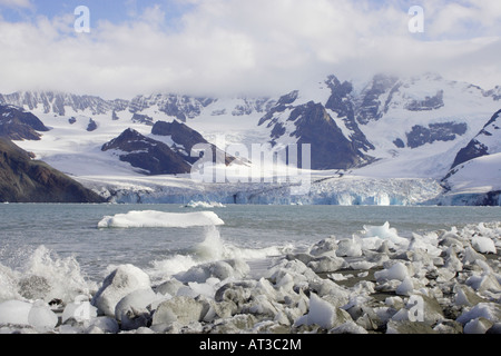 Ross Glacier South Georgia Antarctica Stock Photo